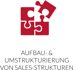 AUFBAU- & UMSTRUKTURIERUNG VON SALES-STRUKTUREN